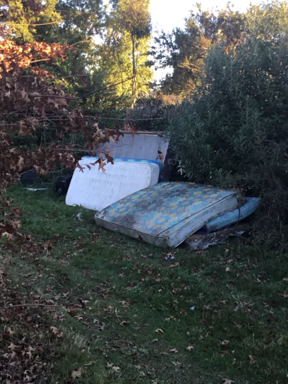 The photograph attached to this rubbish/recycling report