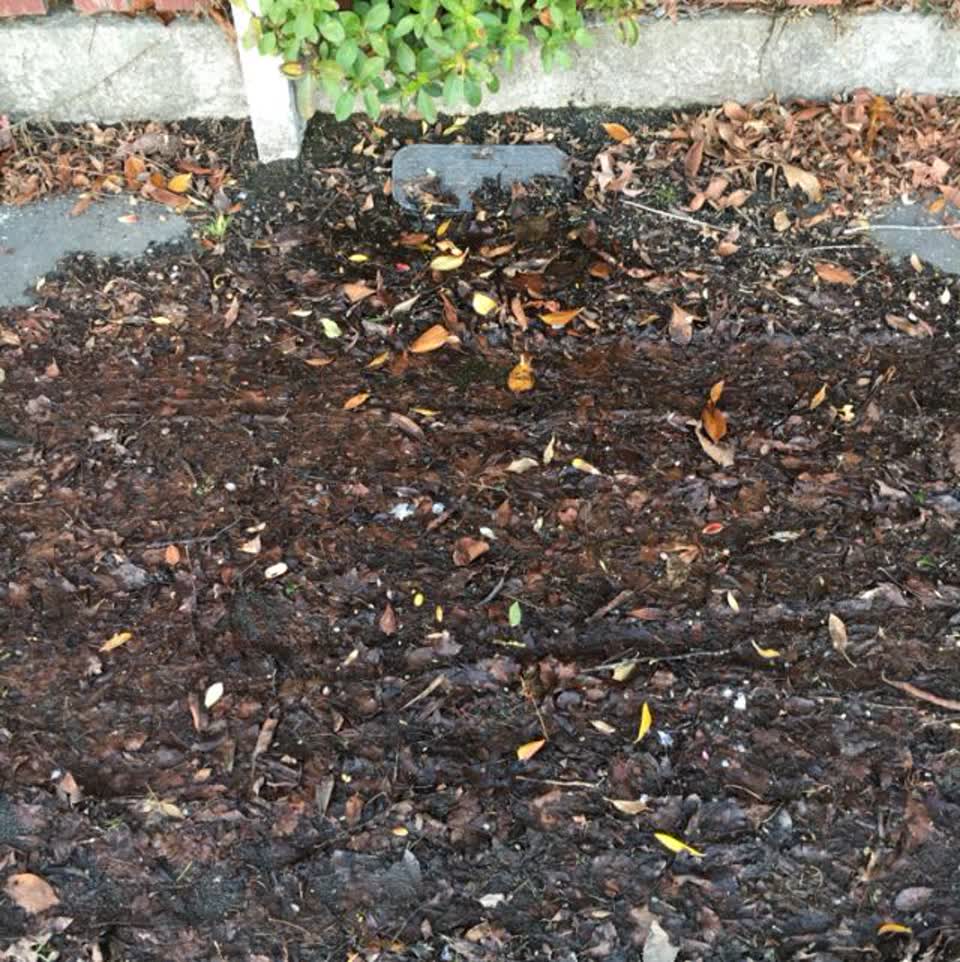 The photograph attached to this water supply report