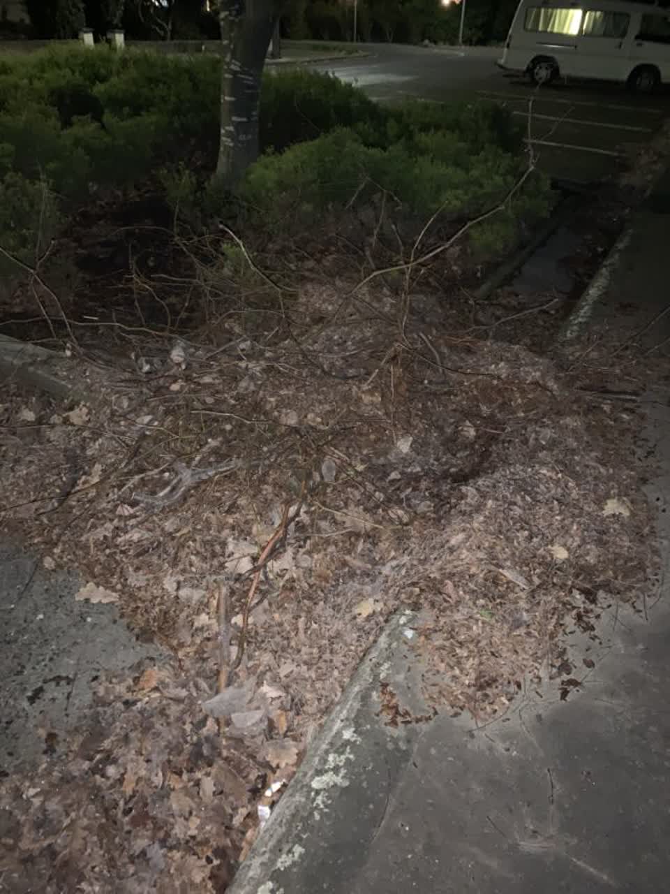 The photograph attached to this roading/streets report