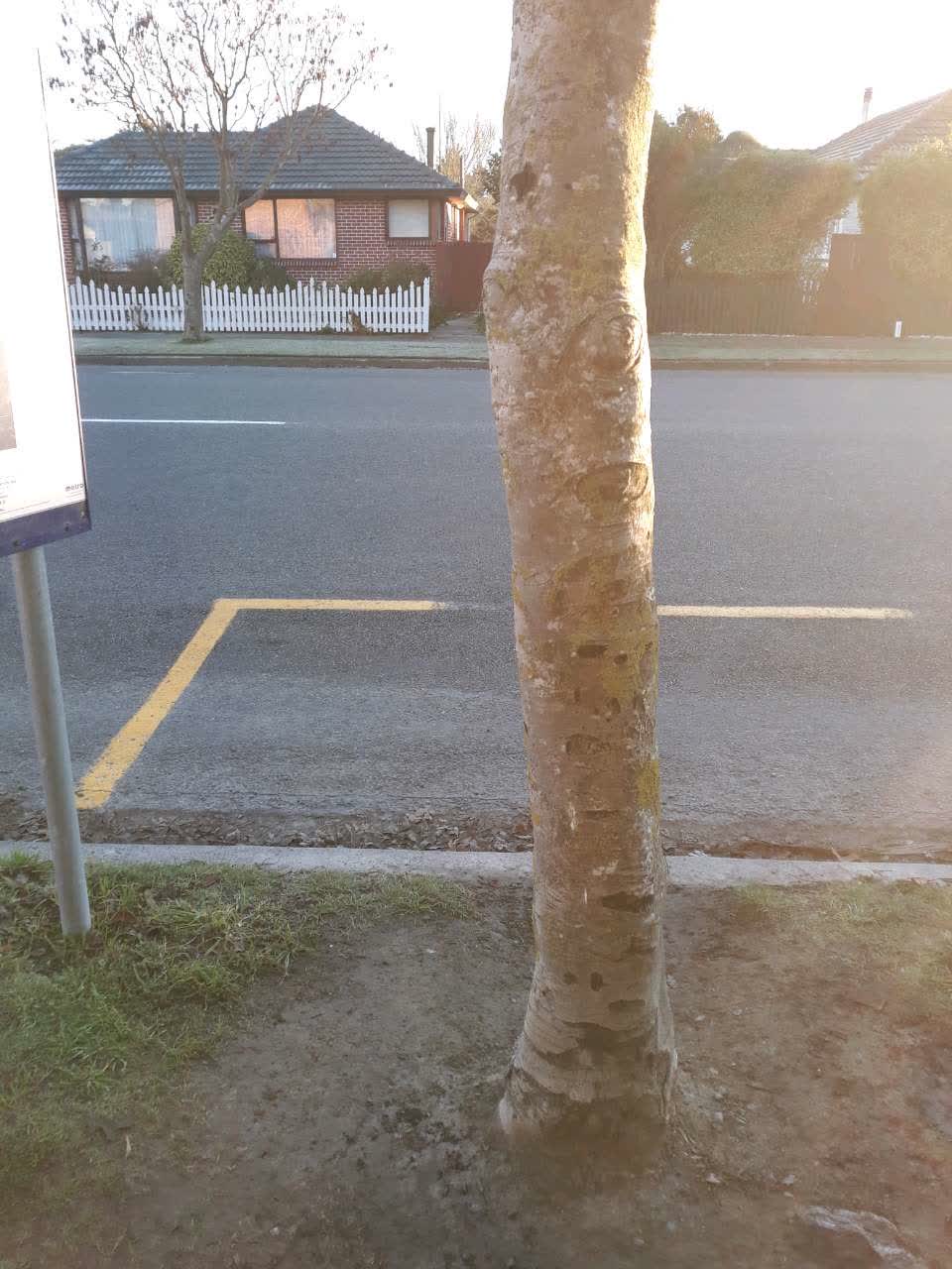 The photograph attached to this roading/streets report