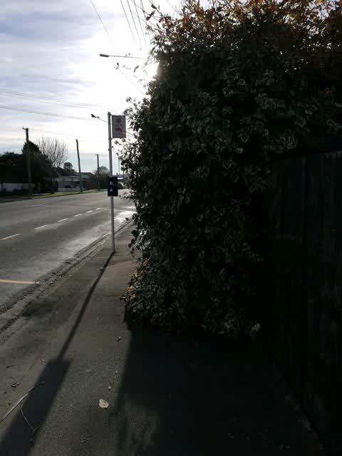 Roading/Streets, a report photo
