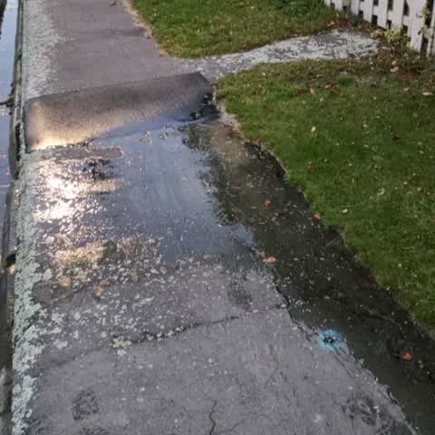 Water Supply, a report photo
