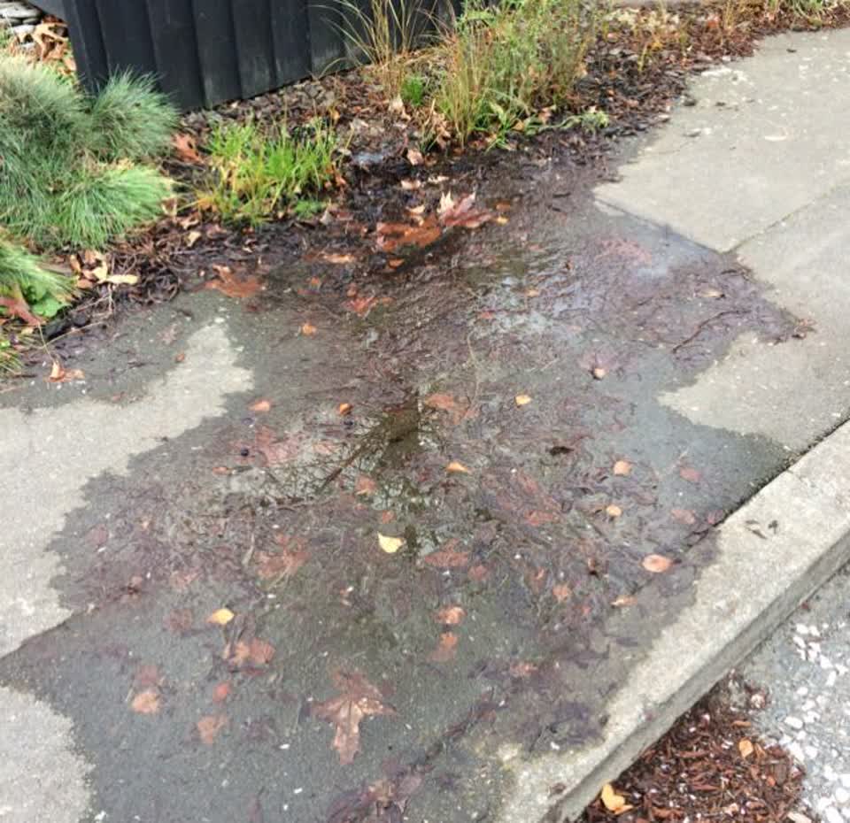 The photograph attached to this roading/streets report