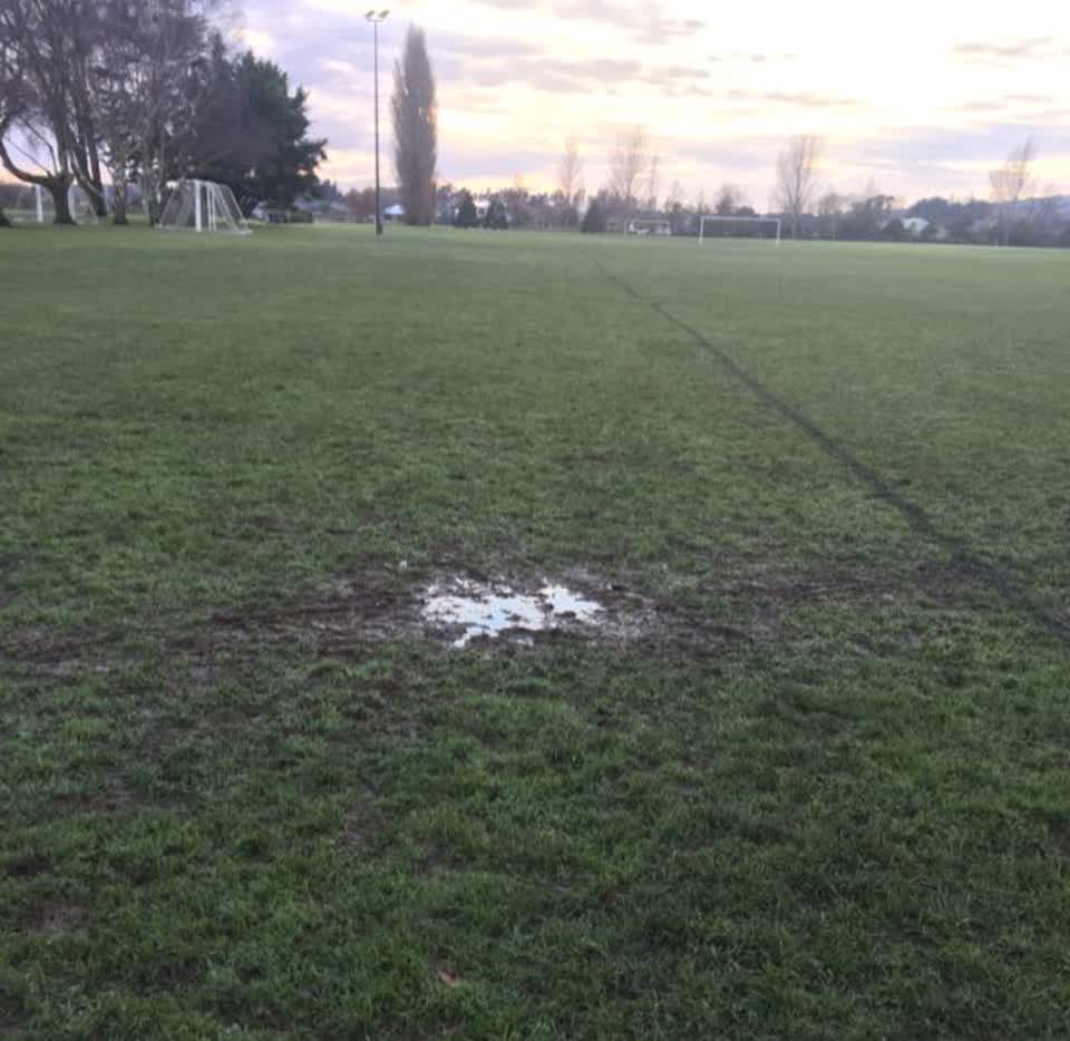 The photograph attached to this parks report