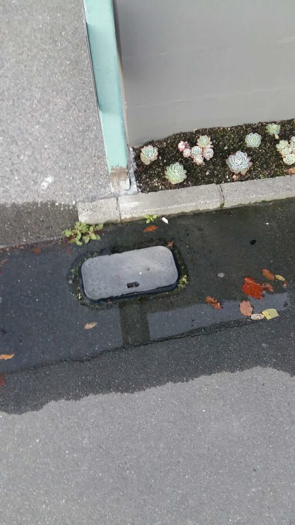 The photograph attached to this water supply report