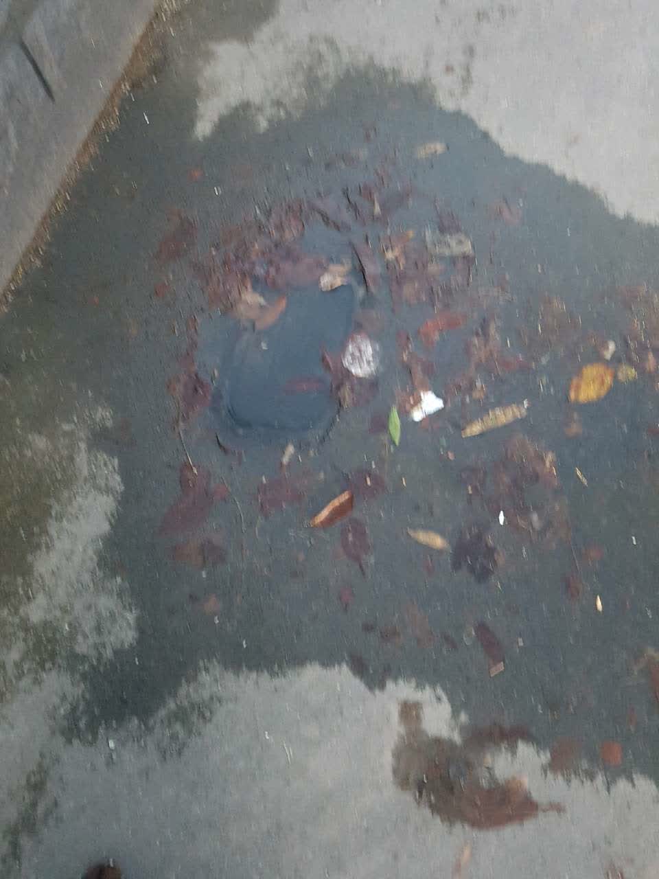 The photograph attached to this water supply report