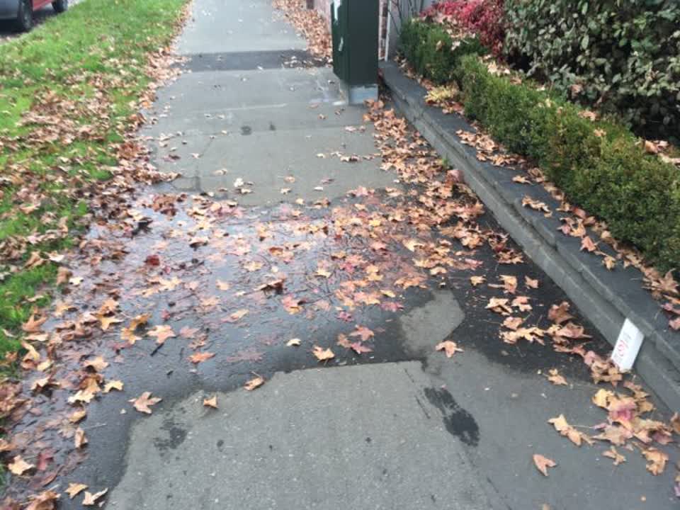 The photograph attached to this water supply report