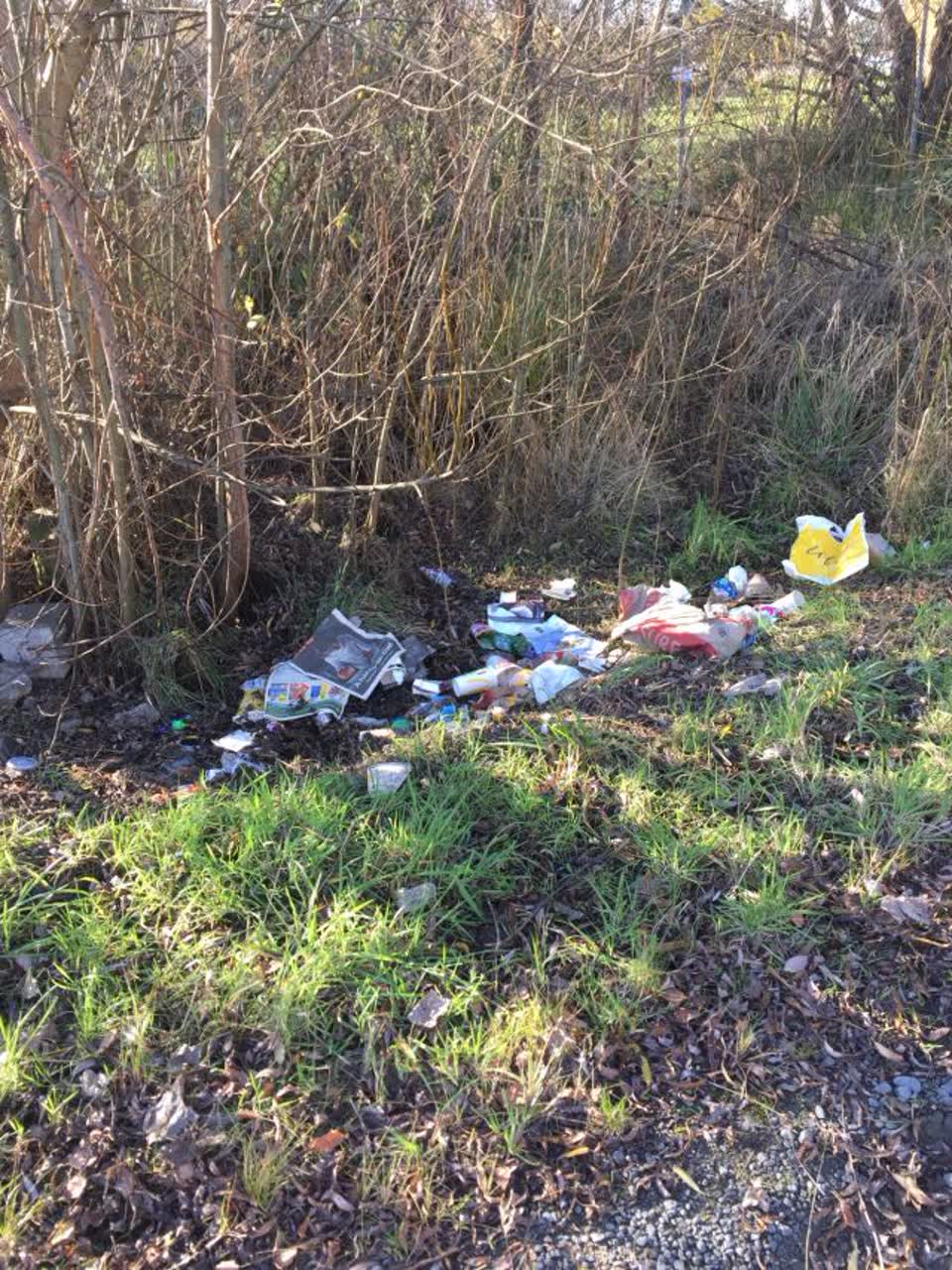 The photograph attached to this rubbish/recycling report
