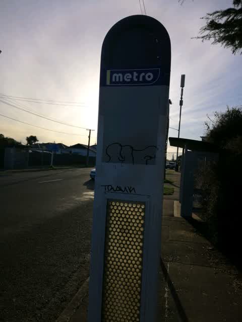 Graffiti, a report photo