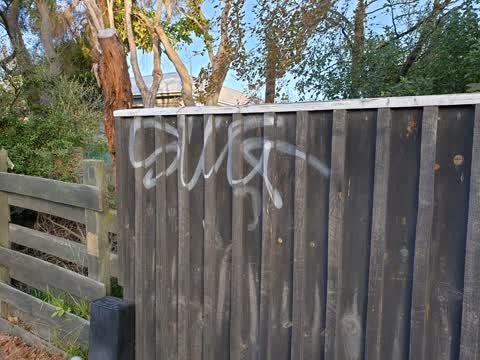 Graffiti, a report photo
