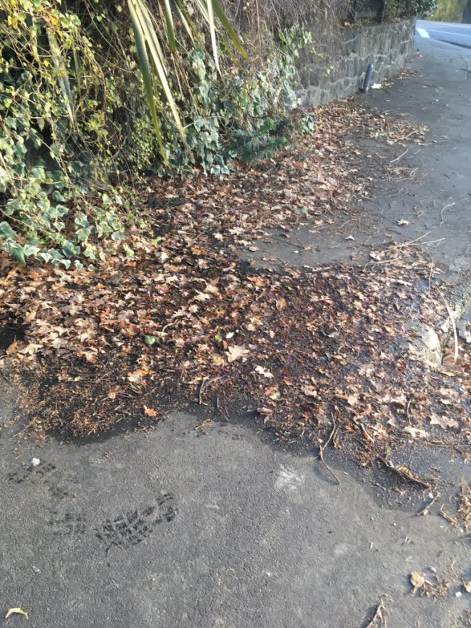 The photograph attached to this roading/streets report