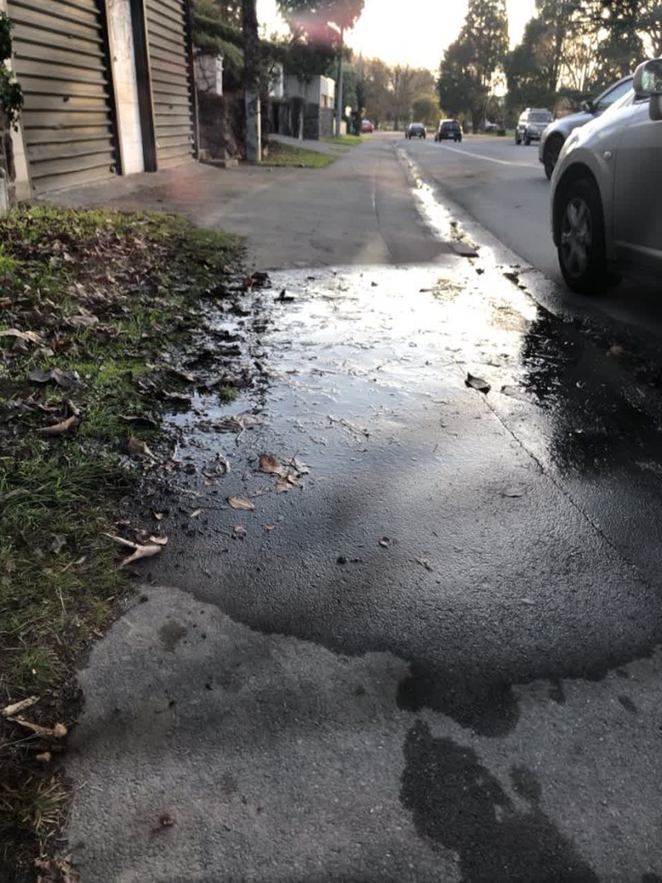 The photograph attached to this water supply report