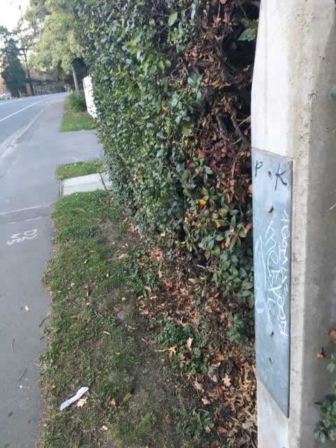 Graffiti, a report photo