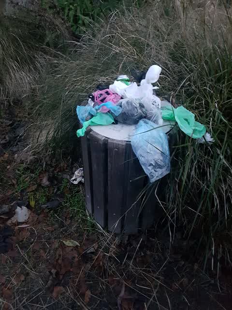 Rubbish/Recycling — a report photo