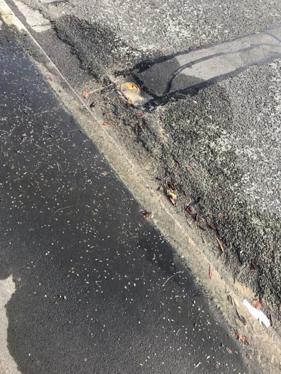 The photograph attached to this water supply report