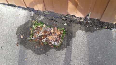 Water Supply, a report photo