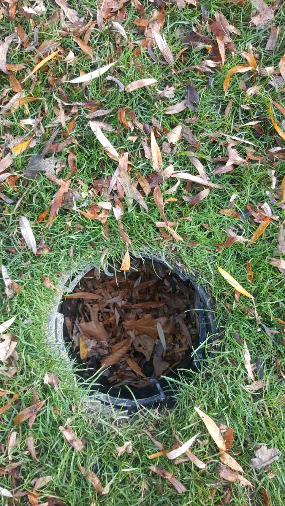 The photograph attached to this wastewater/stormwater report