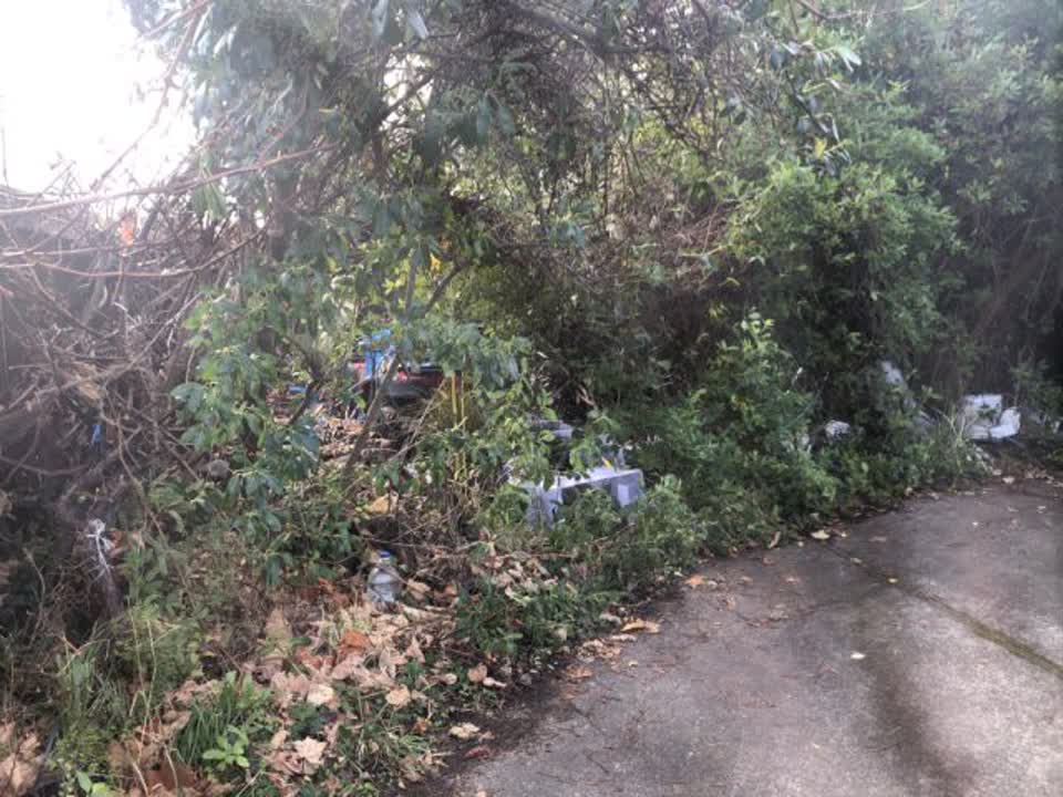 The photograph attached to this roading/streets report