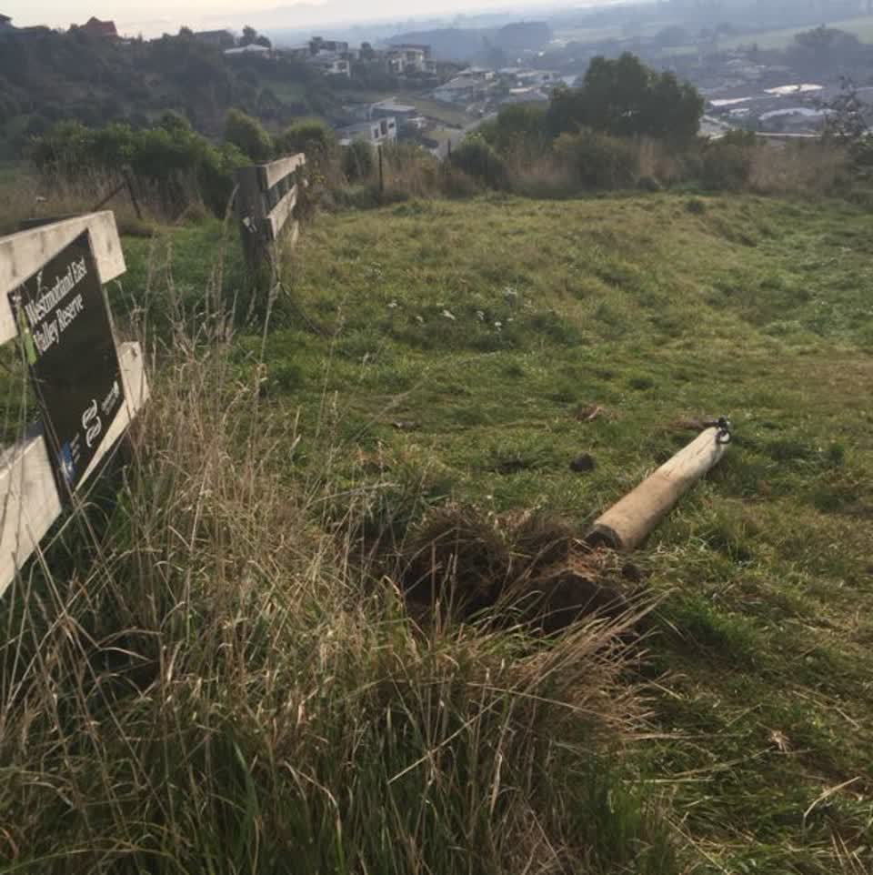 The photograph attached to this parks report