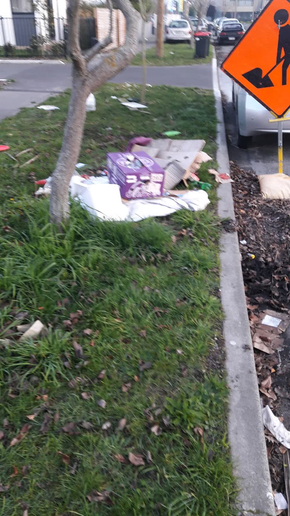 The photograph attached to this rubbish/recycling report