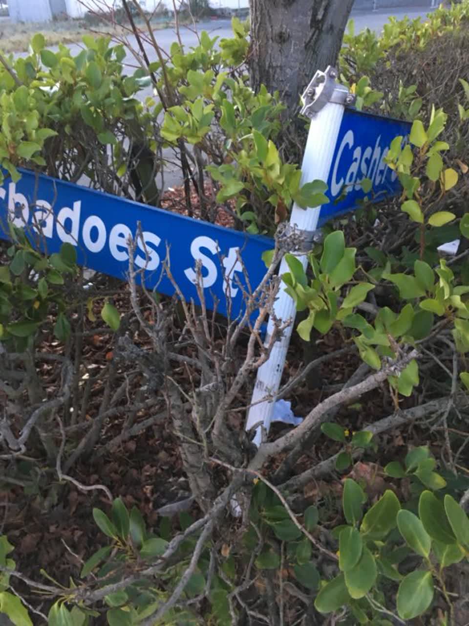 The photograph attached to this roading/streets report