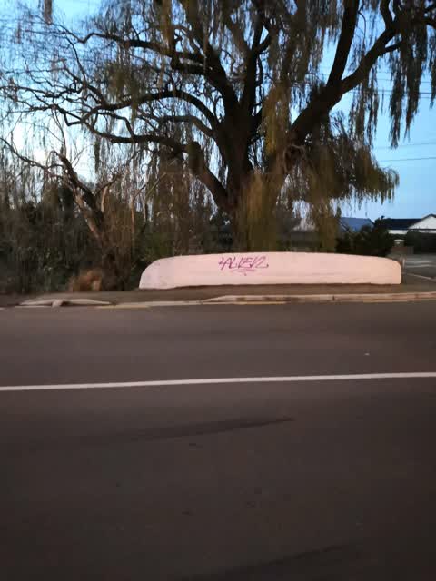 Graffiti — a report photo
