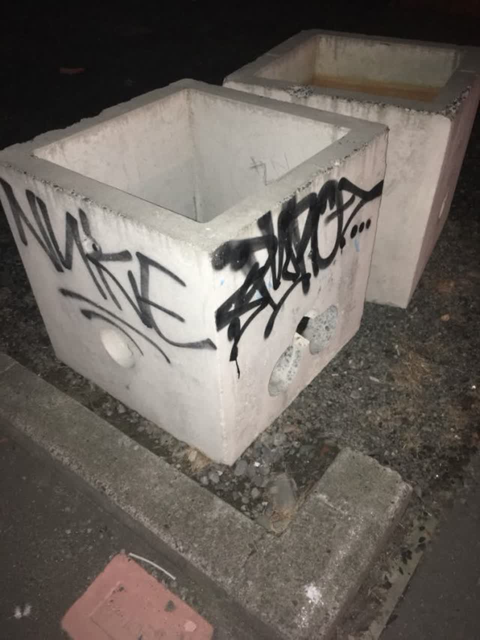 The photograph attached to this graffiti report