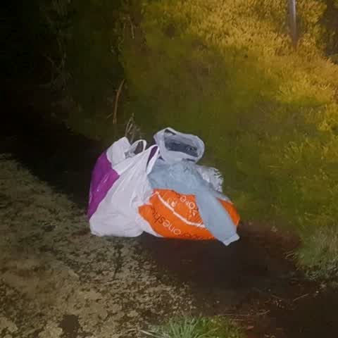 Rubbish/Recycling, a report photo
