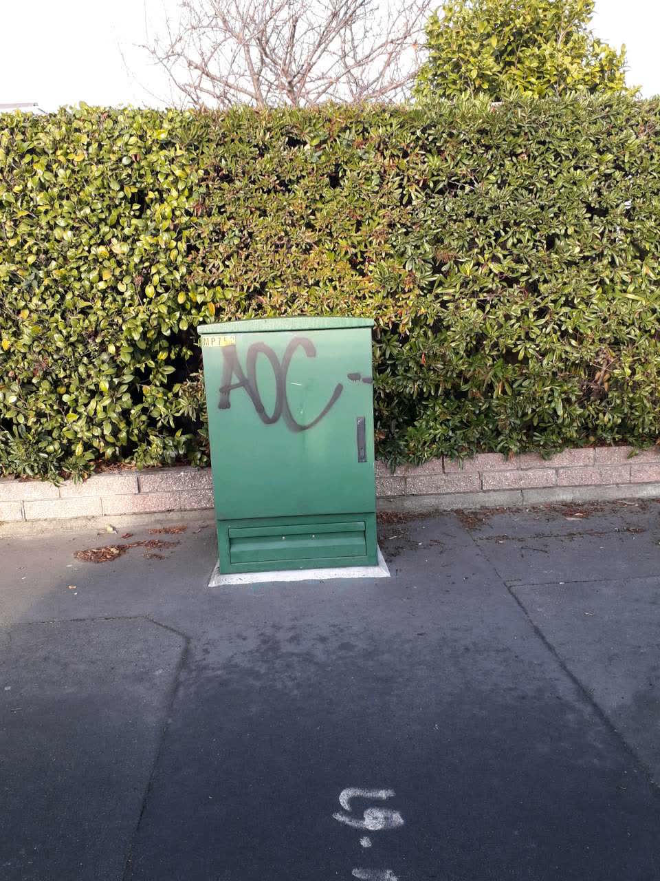 The photograph attached to this graffiti report