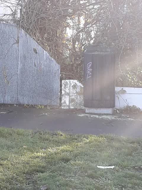 Graffiti — a report photo