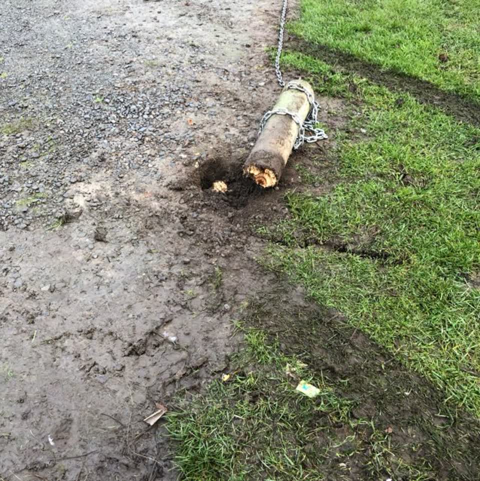 The photograph attached to this parks report