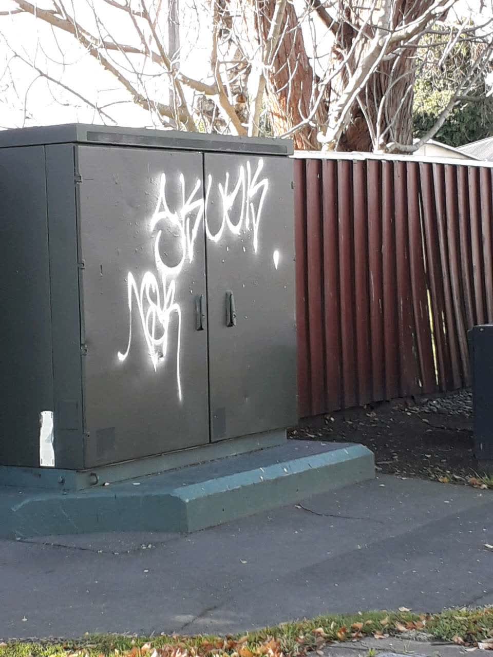 The photograph attached to this graffiti report
