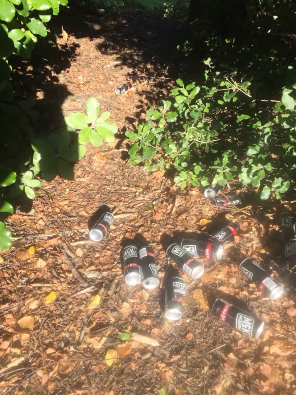 The photograph attached to this parks report