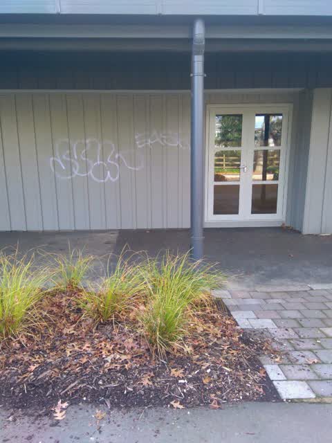 Graffiti, a report photo