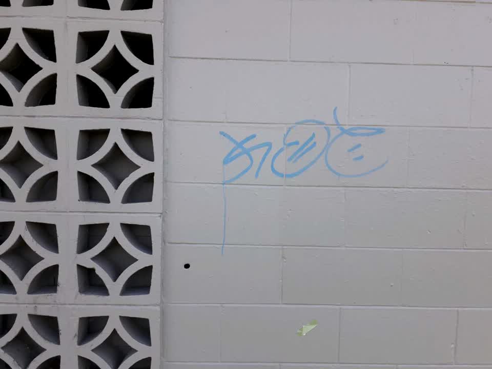 The photograph attached to this graffiti report