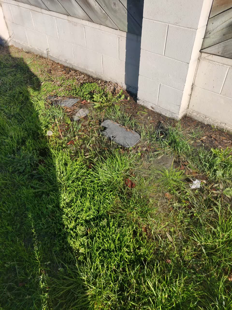 The photograph attached to this water supply report
