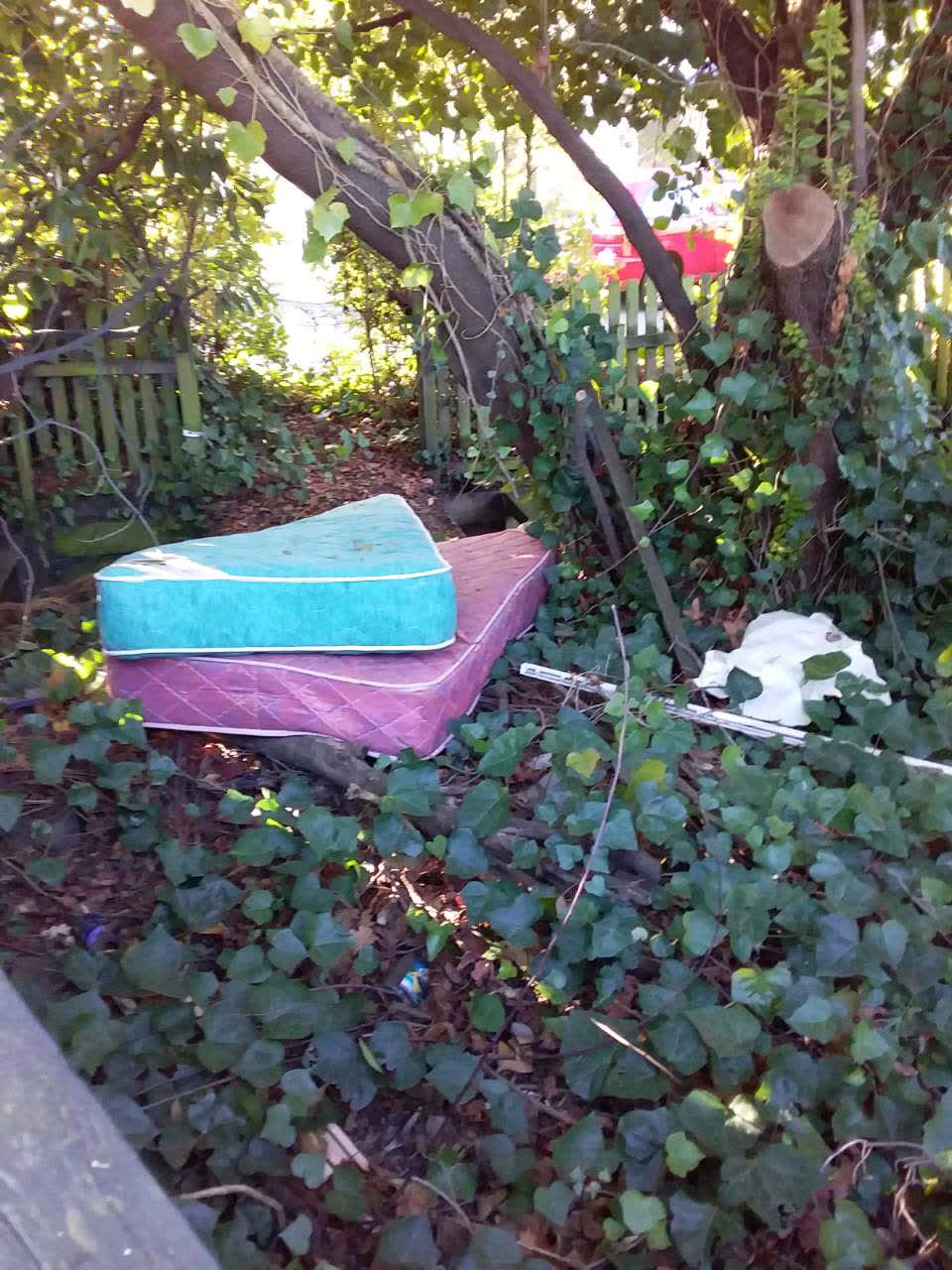 The photograph attached to this rubbish/recycling report