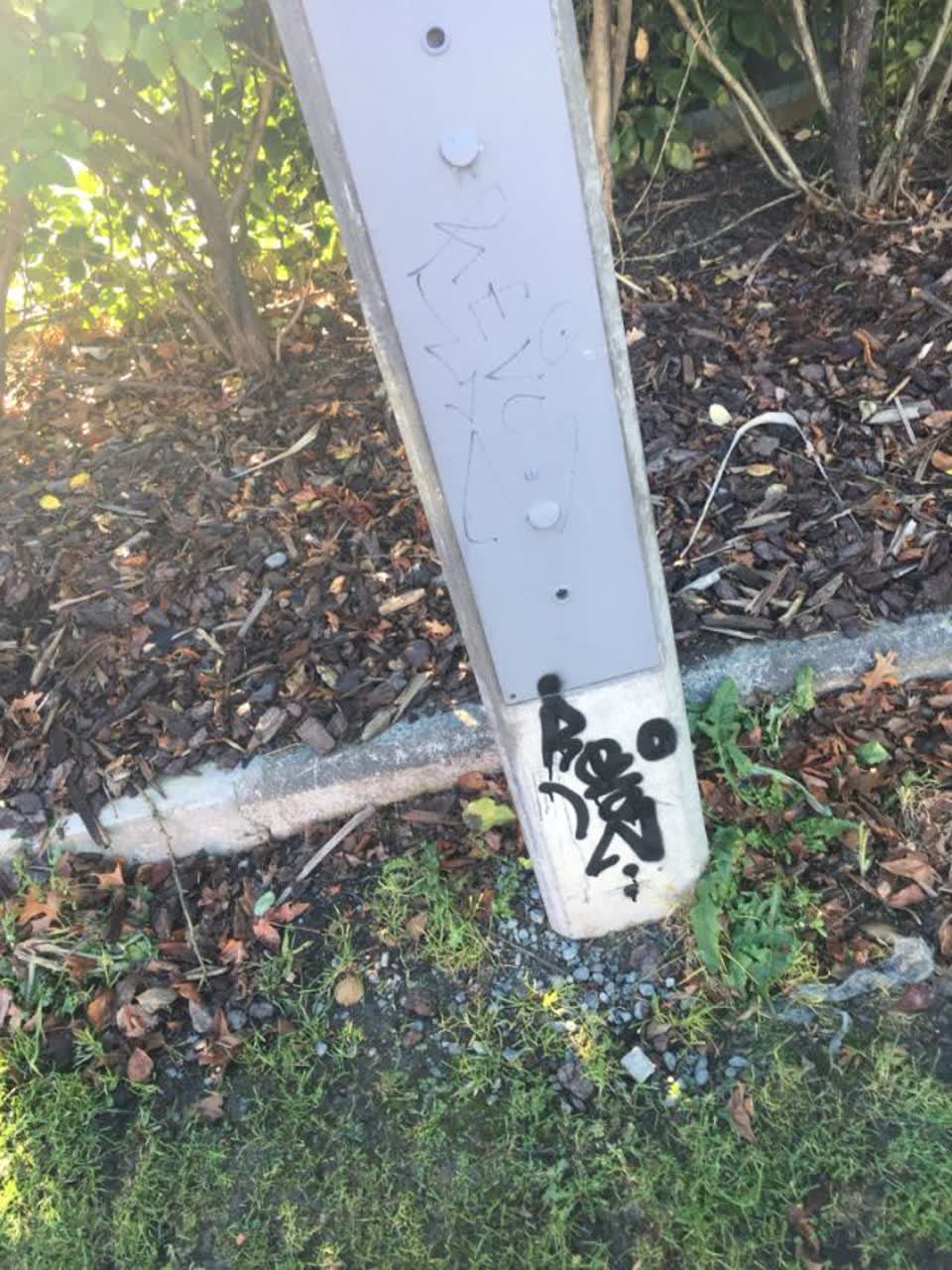 The photograph attached to this graffiti report
