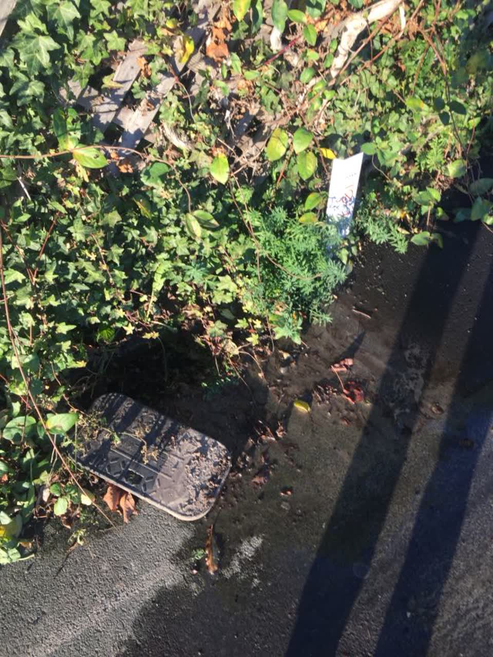The photograph attached to this water supply report