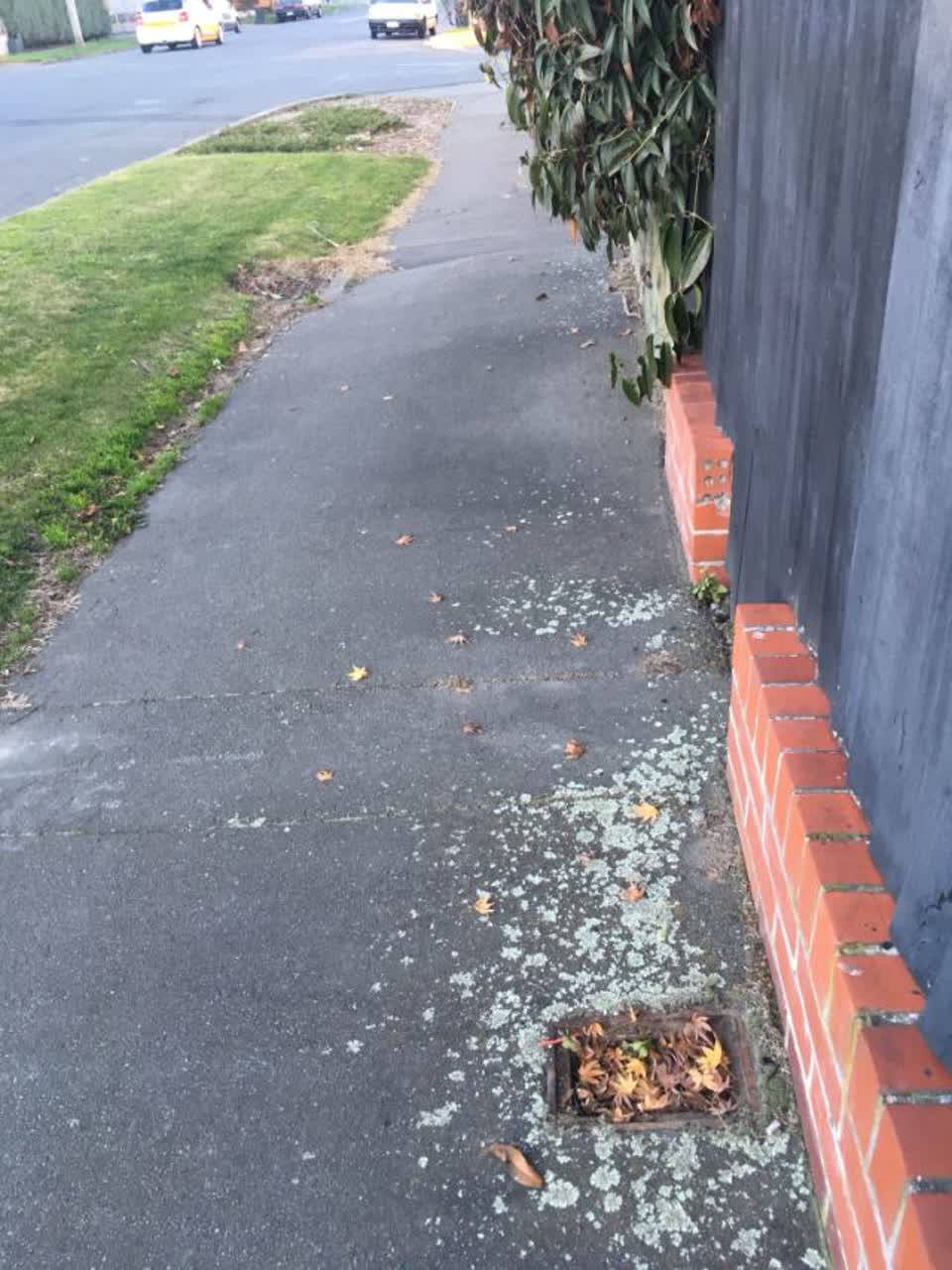 The photograph attached to this roading/streets report