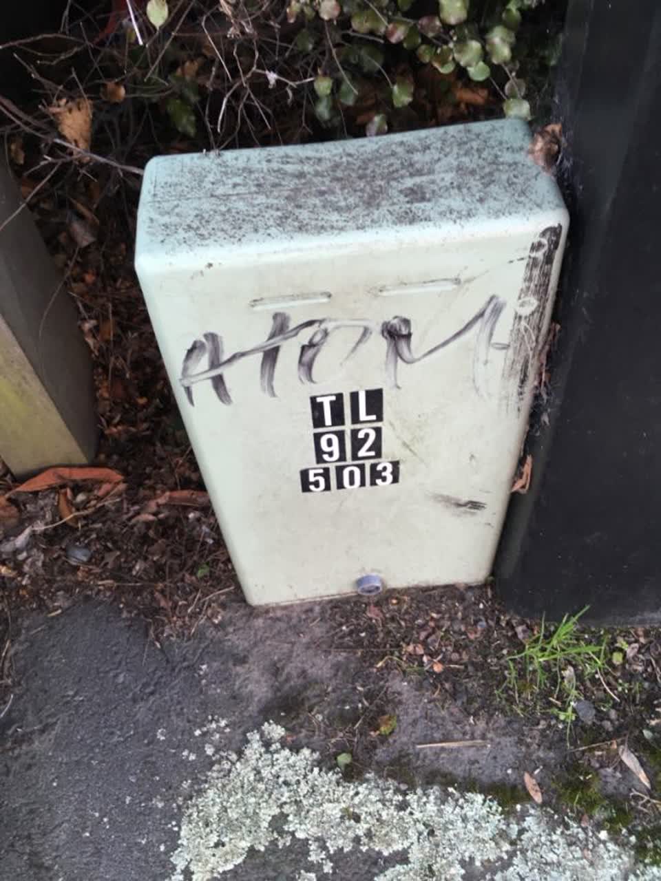 The photograph attached to this graffiti report