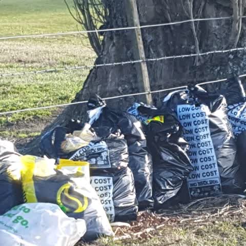 Rubbish/Recycling, a report photo