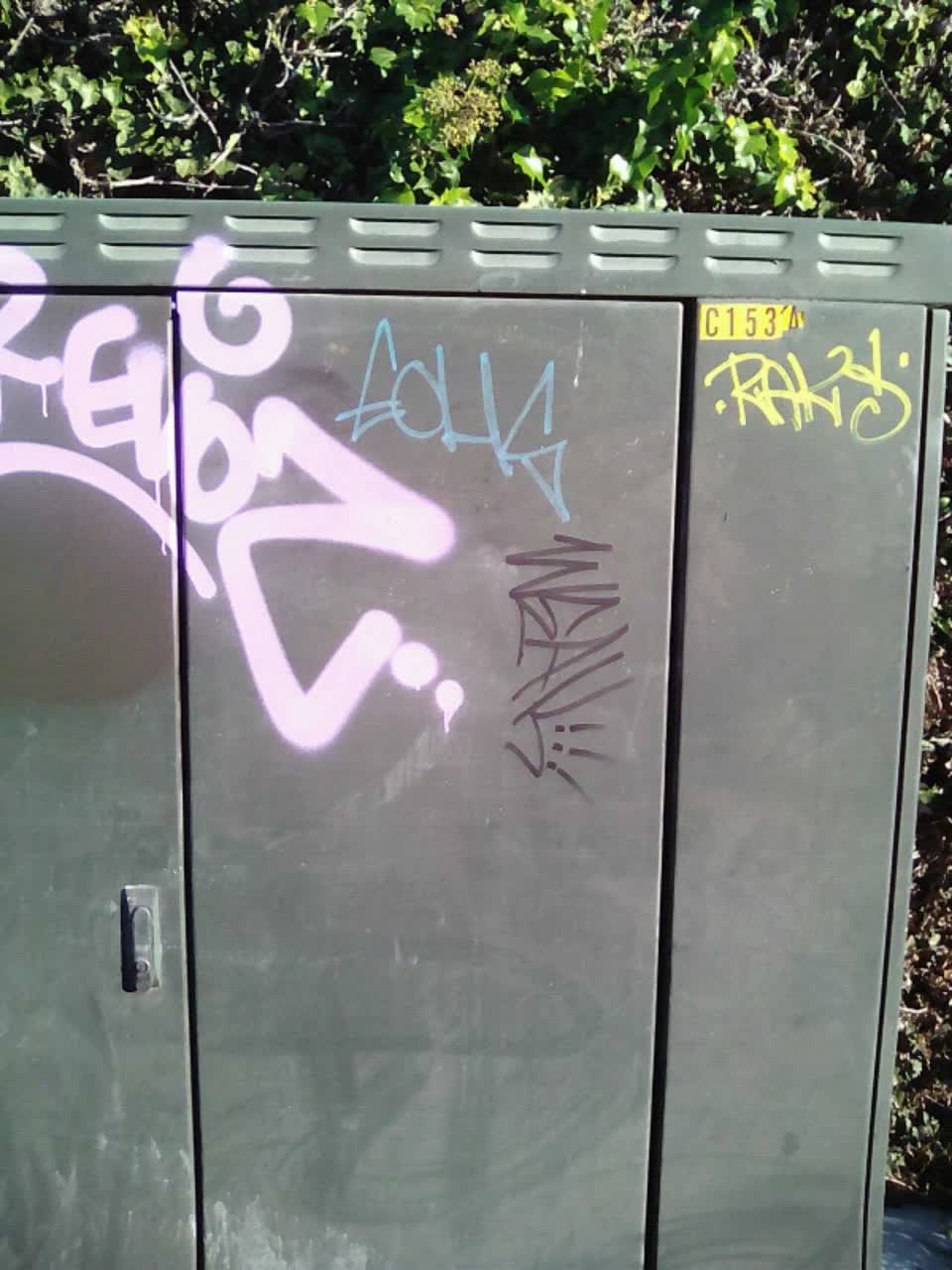 The photograph attached to this graffiti report