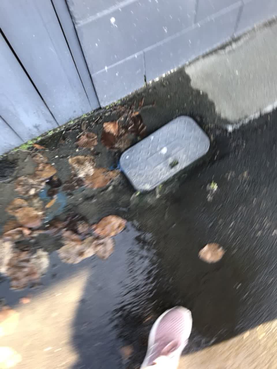 The photograph attached to this water supply report