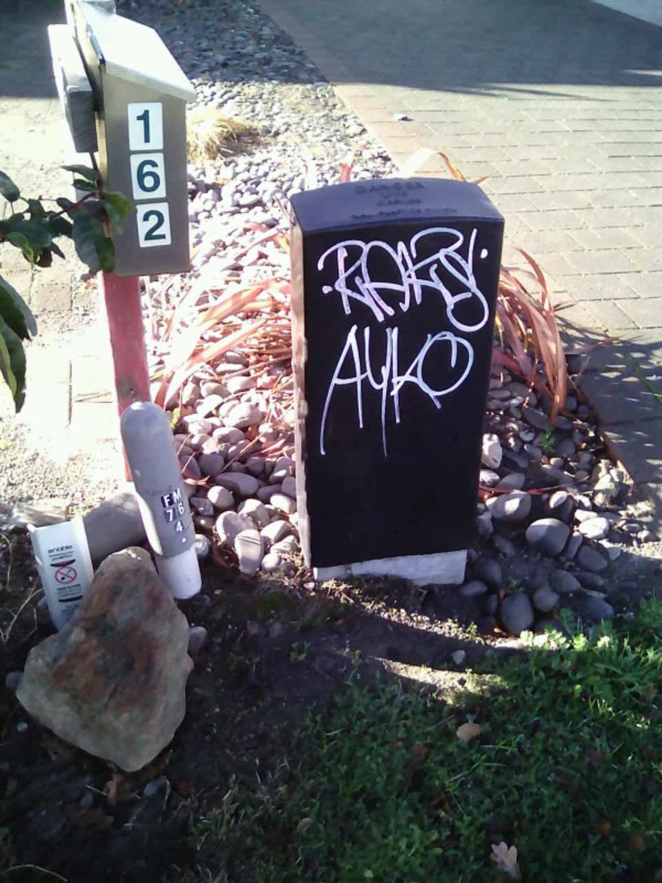 The photograph attached to this graffiti report
