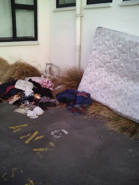 Rubbish/Recycling, a report photo