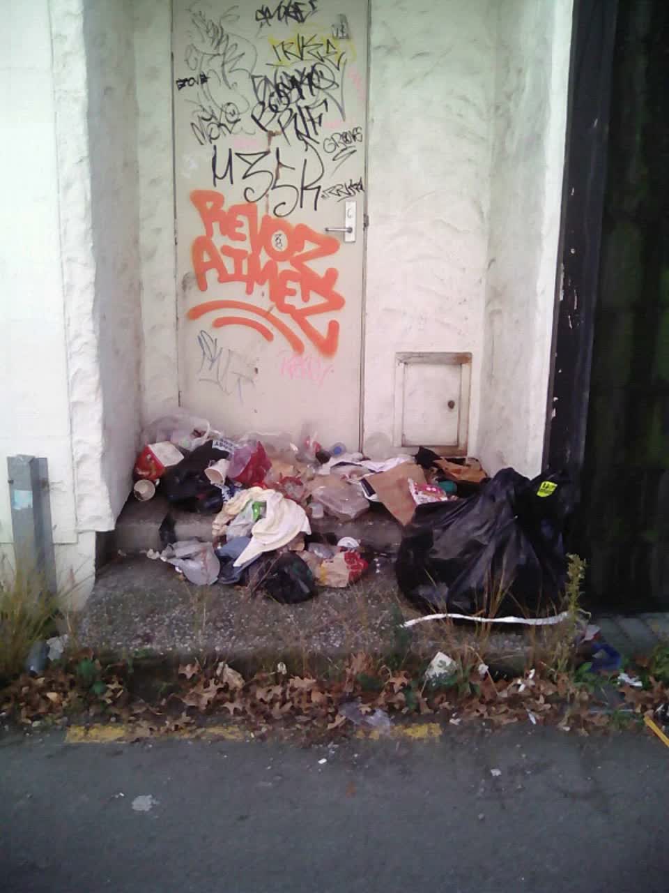 The photograph attached to this rubbish/recycling report
