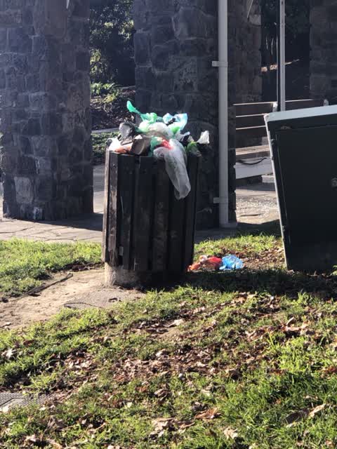 Rubbish/Recycling, a report photo