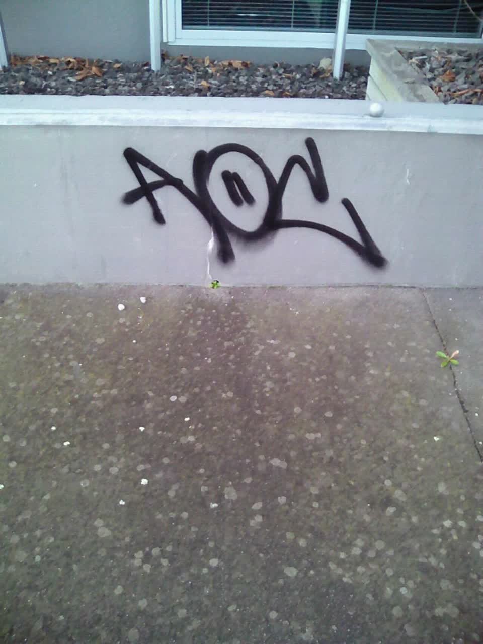 The photograph attached to this graffiti report