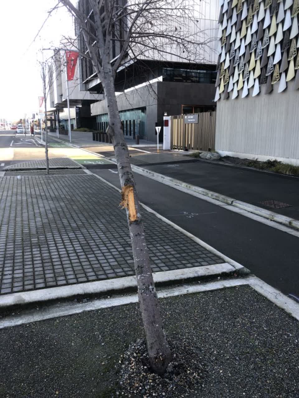The photograph attached to this roading/streets report